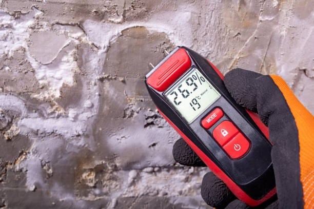 Best Emergency Mold Removal  in Clark, SD