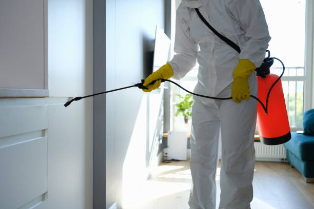 Office Mold Removal Services in Clark, SD