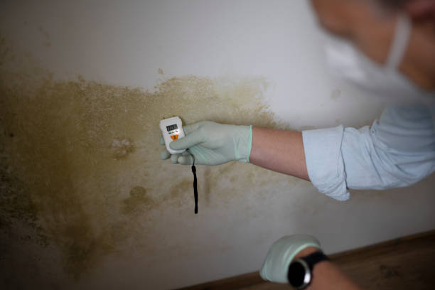 Best Mold Testing  in Clark, SD
