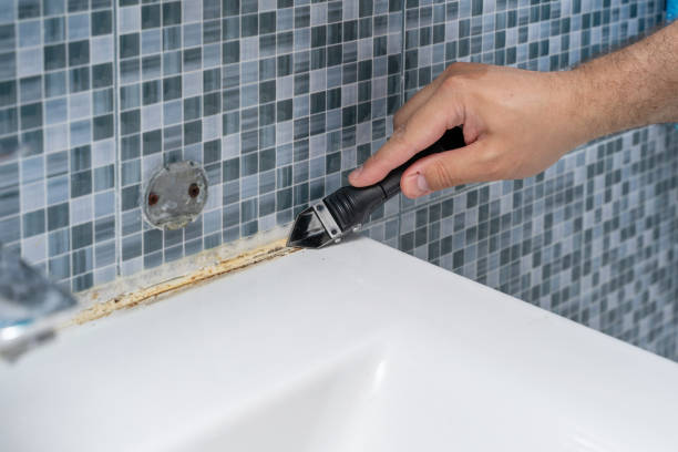 Best Toxic Mold Removal  in Clark, SD